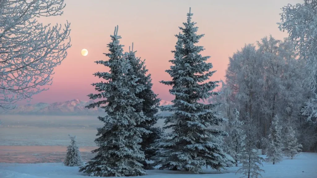 January