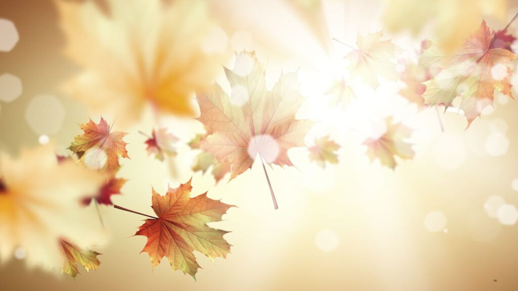September